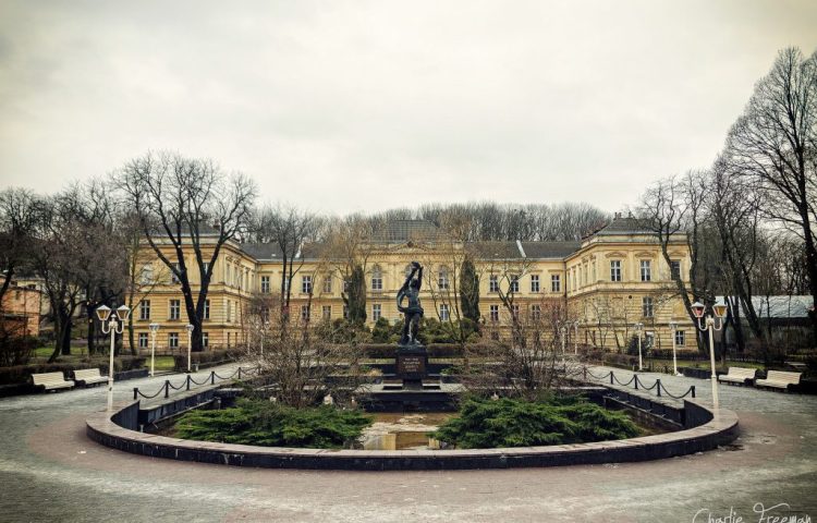 Lviv Tıp Üniversitesi